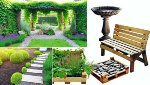 affordable gardening guide with garden features