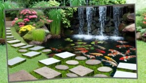 backyard landscaping with water features aquatic plants