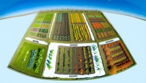 complete guide to seasonal vegetable gardening